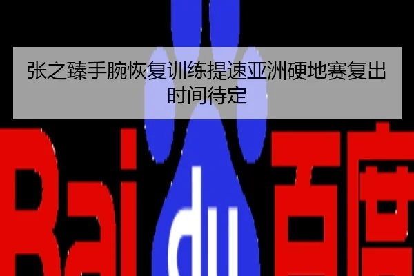 张之臻手腕恢复训练提速亚洲硬地赛复出时间待定